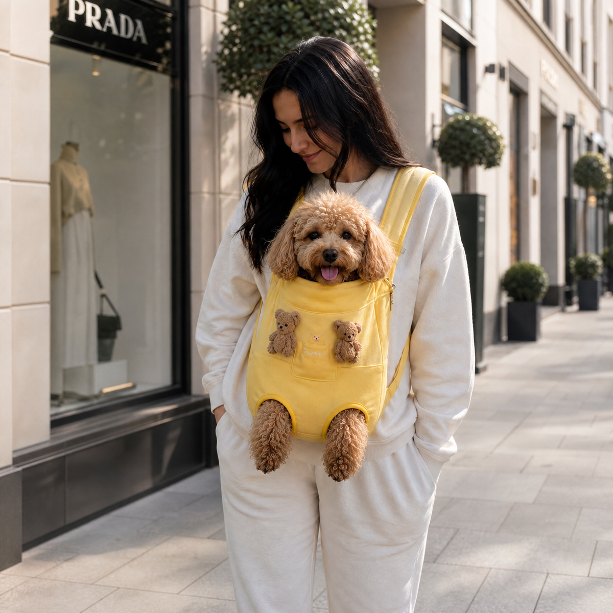 PawSnug™ – Hands-Free Chest Carrier for Pets 🐶